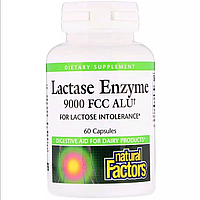 Энзим Лактазы, Lactase Enzyme, Natural Factors, 9000 FCC ALU, 60 Капсул