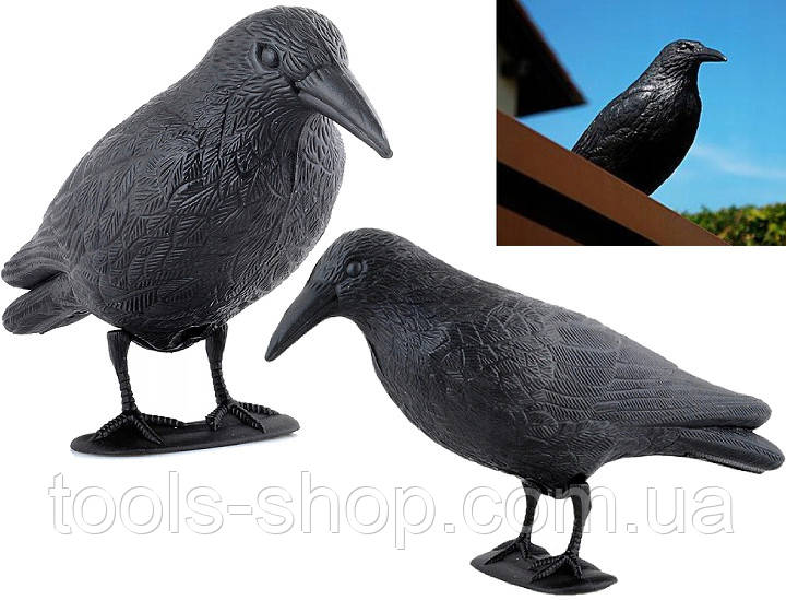 Макет ворона Chomik Ворон для відлякування птахів 34*18*11см 300г, фото 1