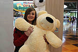 Великий плюшевий ведмідь Тедді 180 см. Плюшевий ведмедик на день народження, фото 2