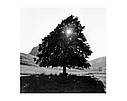 Книга Claude Batho, photographe, фото 11