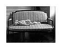 Книга Claude Batho, photographe, фото 7