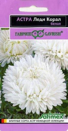 Насіння Астра Леді Корал Біле 0,1 грама Satimex Гавріш