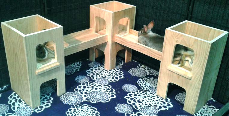 Будиночок для кроликів "Відобра" бланже