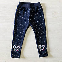 Лосини утеплені для дівчаток оптом, S&D, 1-5 років, арт. CH-6523, фото 3
