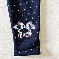 Лосини утеплені для дівчаток оптом, S&D, 1-5 років, арт. CH-6523, фото 6