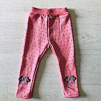Лосини утеплені для дівчаток оптом, S&D, 1-5 років, арт. CH-6523, фото 4