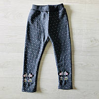 Лосини утеплені для дівчаток оптом, S&D, 1-5 років, арт. CH-6523, фото 2