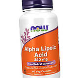 Альфа-ліпоєва кислота NOW Alpha Lipoic Acid 250 mg 60 капс, фото 3