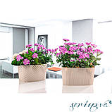 Горщик для квітів балконний з дренажем Sumela 4,7 л світло-рожевий, фото 3