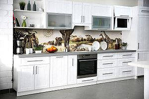 Тварини, птахи