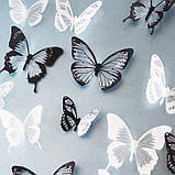 Різнокольорові метелики на стіні. Набір різнокольорових метеликів. Декоративні метелики. 3D метелик наклейки. Метелики для декору, фото 4