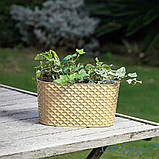 Горщик для квітів балконний з дренажем Kapadokya 4,7 л світло-жовтий, фото 4