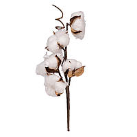 Гілка декоративна Yes! Fun "Бавовна" 30см