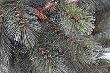 Гірлянда 2,7 м. Forest frosted зелена, фото 5