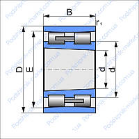 NN 3011 KTN/SP (SKF ) подшипник радиальный роликовый с короткими цилиндрическими роликами