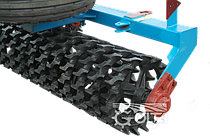 Котки Кільчато-Шпорові