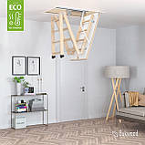 Сходи на горище Bukwood Eco Standard, фото 2