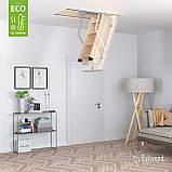 Сходи на горище Bukwood Eco Standard, фото 3