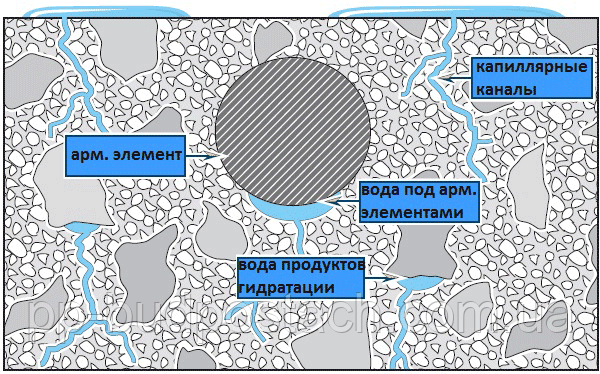 Волога, що концентрується при стисненні під агрегованими частинками цементу і армуючим елементами