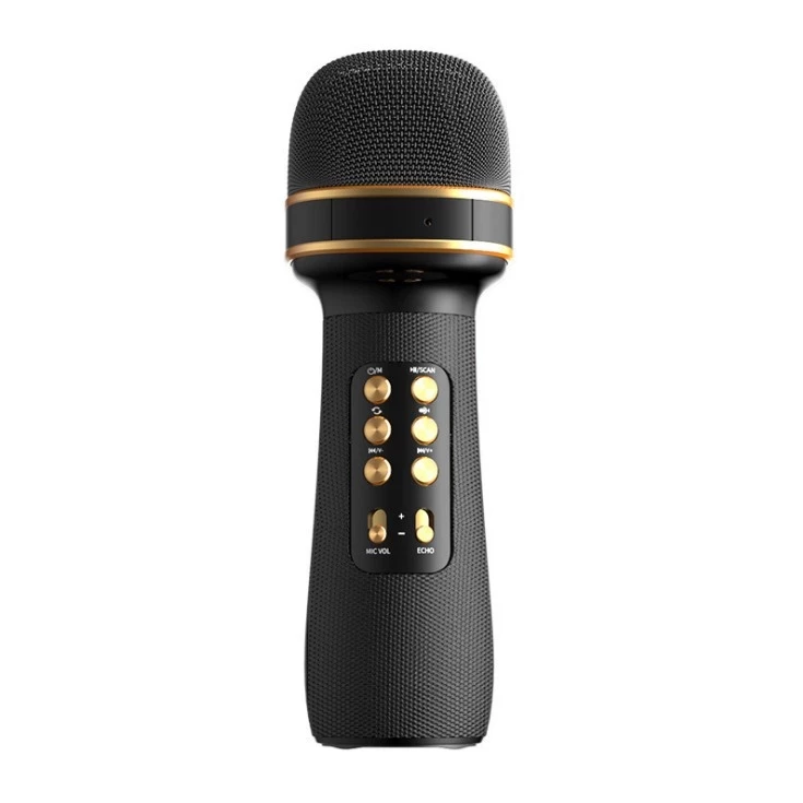 Караоке мікрофон Wster WS-898 Оригінал (USB, microSD, AUX, FM радіо, Bluetooth 5.0) — Чорний