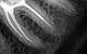 Портативний дентальний рентген апарат Vatech AnyRay II Оригінал для стоматології Південна Корея версія 2023, фото 10