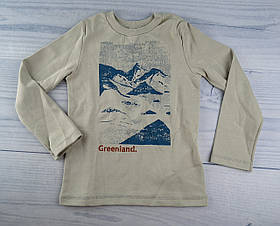 Лонгслив для хлопчиків Greenland ріст 128 см, 8 років Бежевий Інтерлок ФБ836(128)б Бембі Україна