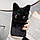 Чохол накладка для Apple iPhone 12/12 Pro Alitek Котик Чорний, фото 3