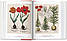 A Garden Eden. Masterpieces of Botanical Illustration, фото 3