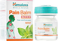 Бальзам от боли Хималая 10 г (Pain Balm Himalaya)