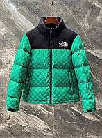 Мужской стильный пуховик (The North Face and gucci) The North Face / - 20 / TNF