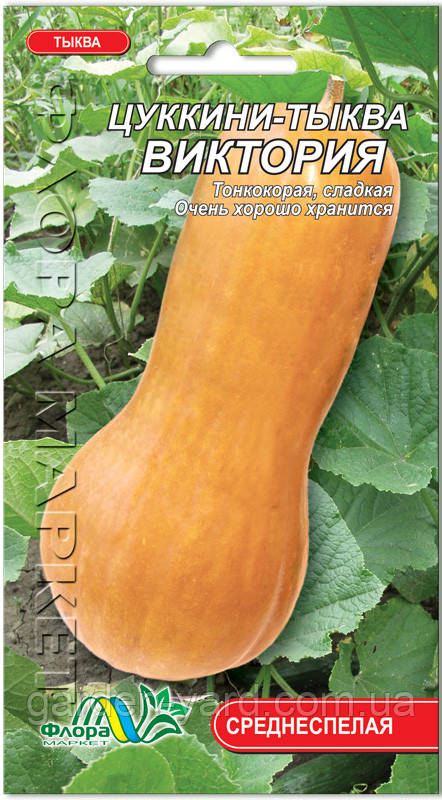 Насіння гарбуза цукіні Вікторія Флора маркет