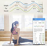 Смарт-ваги підлогові з застосунком на смартфон smart bluetooth body fat scale, фото 4