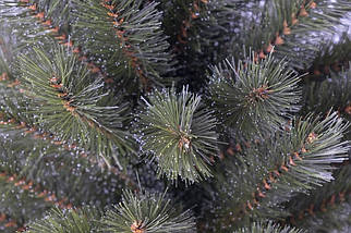 Сосна 60 см з інеєм, Forest Frosted, фото 2