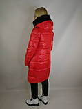 Зимова жіноча куртка peerkat, фото 7