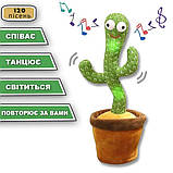 Кактус співає і танцює 120 пісень з підсвічуванням  Dancing Cactus TikTok іграшка - повторюша кактус дитячий, фото 7