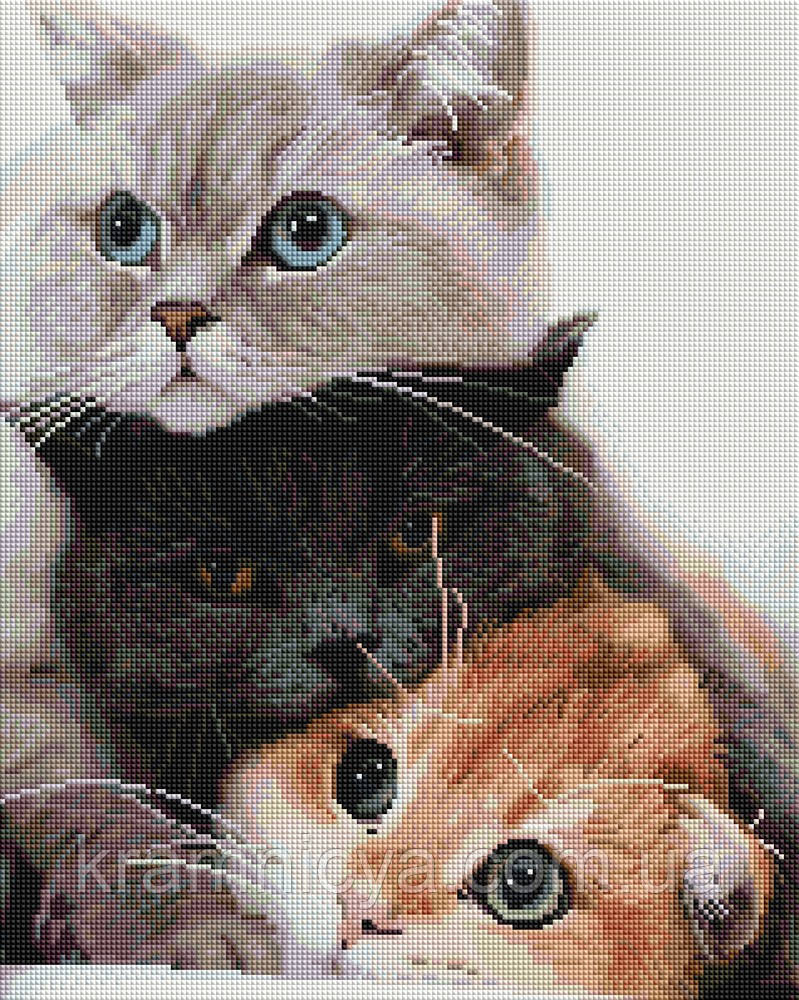 Алмазна мозаїка (вишивка) Котики-муркотики, Brushme 40х50 (GF4811), фото 1