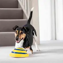 Іграшка Для Собак Woof Glider