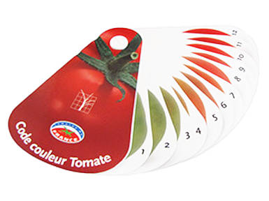 Колірний шаблон Step System 45032 / для томатів