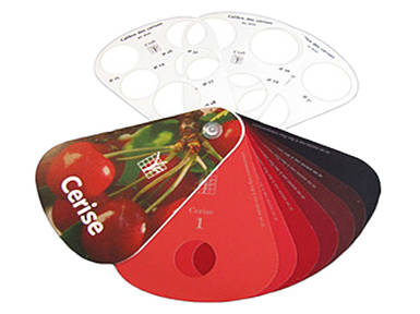 Колірний шаблон Step System 45031 для вишень / калібр від 22 до 34 мм