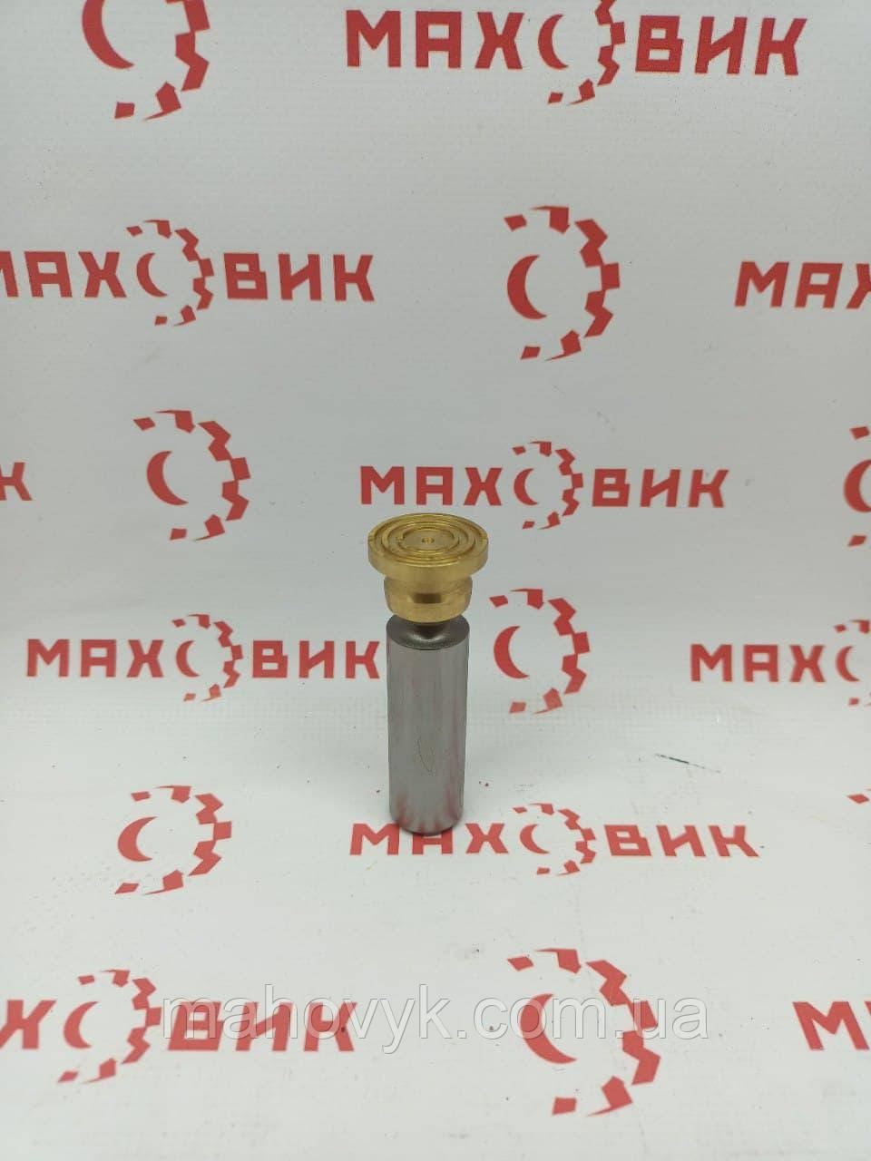 Плунжер гідронасоса Bosch Rexroth A4WG56(8830)
