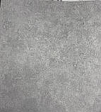 Шпалери вінілові на флізеліновій основі AS Creation History Of Art сірий 0,53 х 10,05 м (37656-3), фото 2