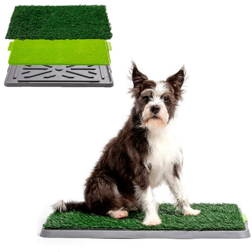 Лоток туалет для цуценят собак 67х42х3см з травою, тренувальний, фото 1