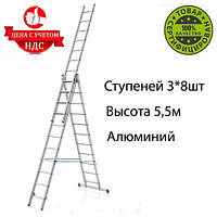 Лестница 3-х секционная ELKOP VHR T 3*8