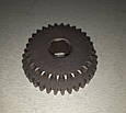 Шестерня ведуча 2/3 передачі Z - 34/28 КПП мотоблоку 81-1 Кентавр, фото 3