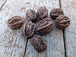 Горіхи декоративні, 8 шт/уп