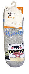 Махрові шкарпетки зі стопами Ведмедик Bross 4-6Т / 16.5 - 19.1 см