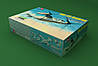 MV-22 Osprey 1/48 Hobby Boss 81769, фото 3