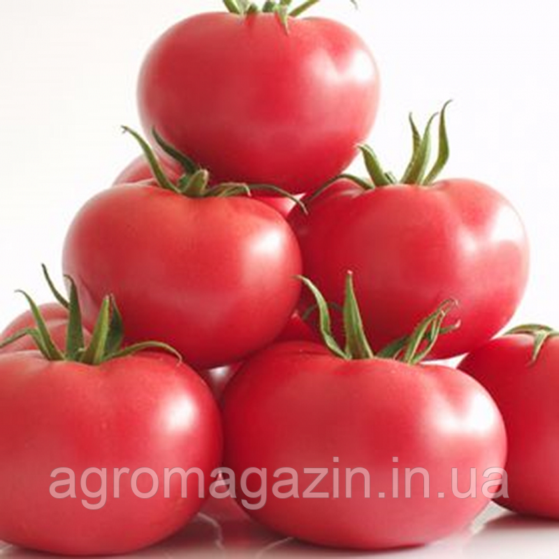 Томат Белтон F1 (250нас.) індетермінантний