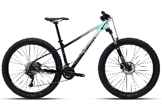 Велосипед гірський POLYGON XTRADA 5 LT (2021) 29"L Green Grey