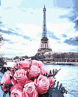 Картина раскраска Розы во Франции (BRM28599) 40 х 50 см